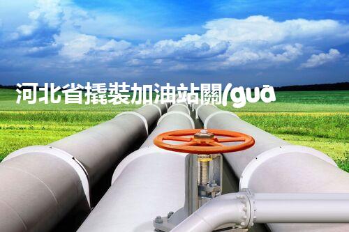 河北省撬裝加油站關(guān)鍵技術(shù)突破！化工廠拆除工程的新方法探索？
